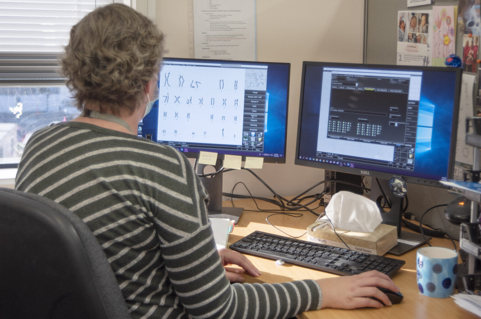 Canterbury Health Laboratories